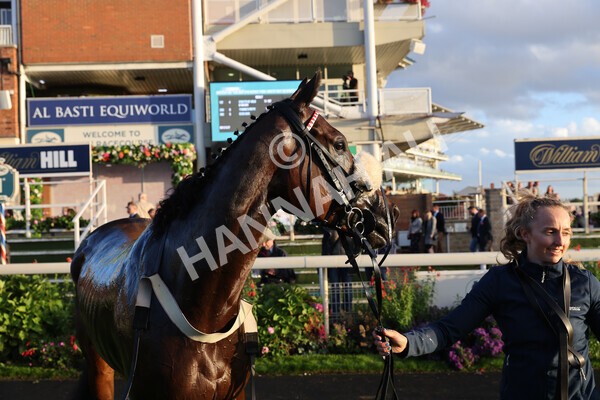 yr07102022r7-62 - Race 7 5.35pm IRE Incentive, It Pays To Buy Irish Stakes