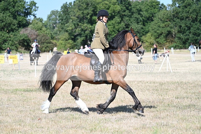 WJ7_3771 - Class 9 Mountain & Moorland Ridden