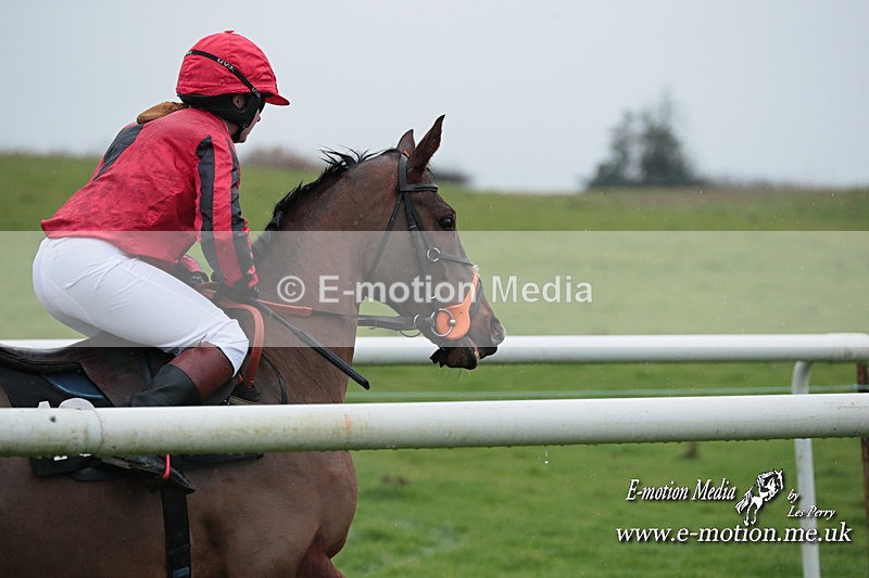 PtP 031223 658 - Wheatland Hunt PtP Chaddesley Races 03/12/23