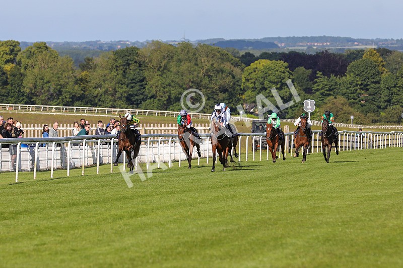 180624-Race 1-Paps Turf-7507 - Race 1