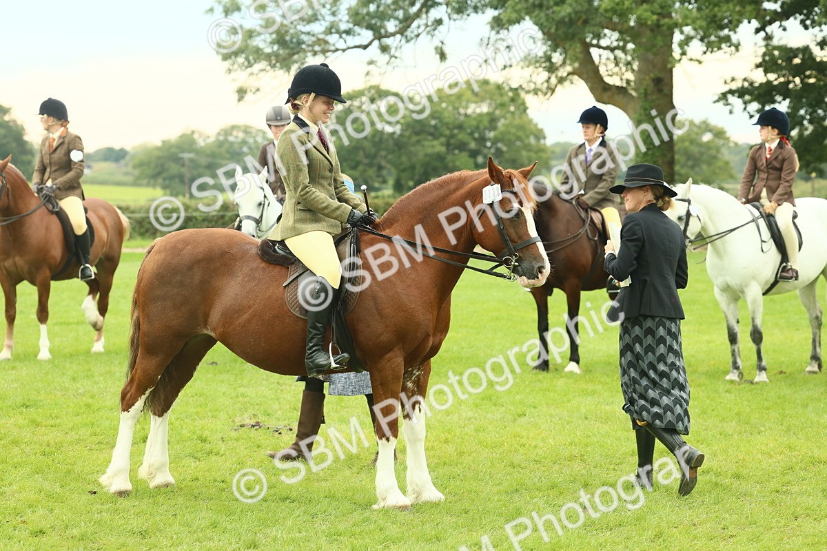 SBM_72106 - S60 - Mountain & Moorland Ridden Large Breeds
