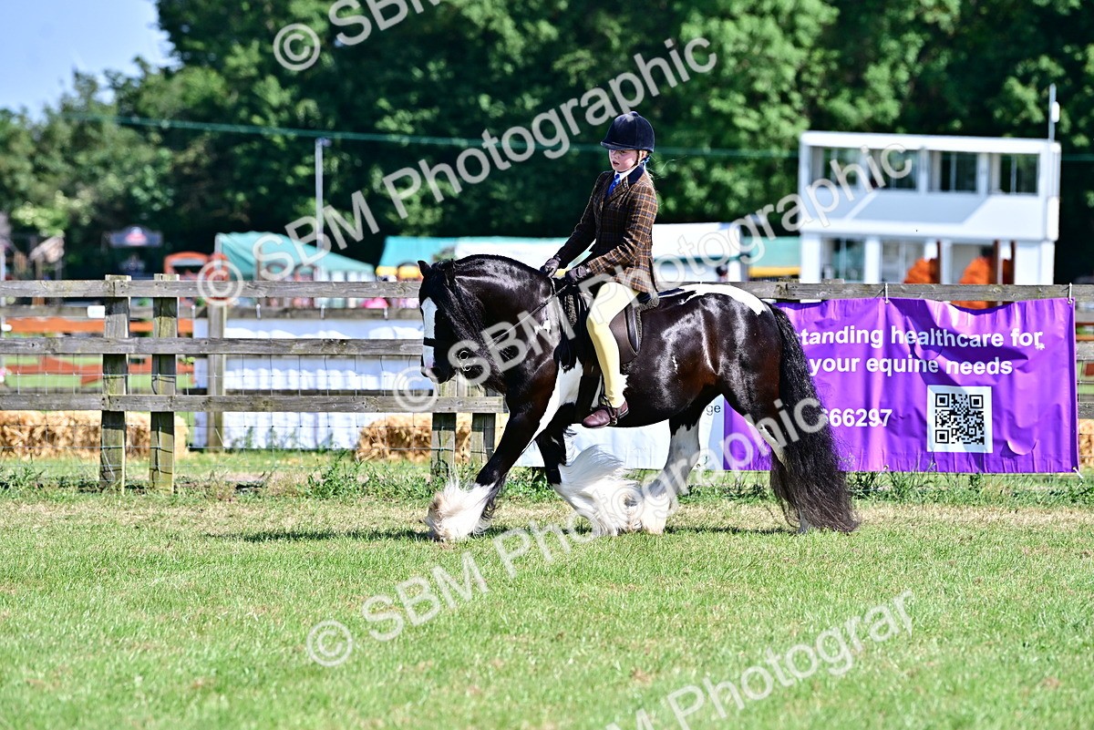 SBM_19411 - Class 101-102 - BSPS LIHS Performance Coloured Horse/Pony