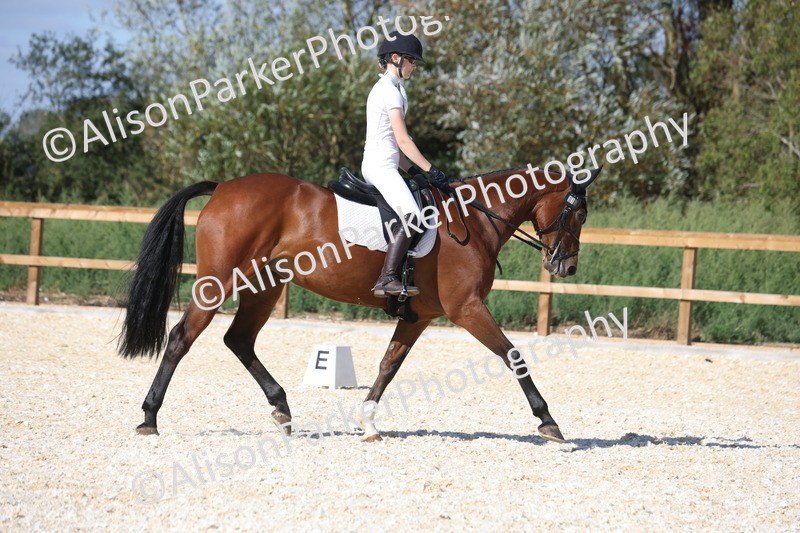 20260905-1514 - Class 5 - Novice 2