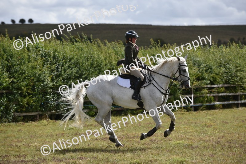 20250831-4126 - Class 13 - Working Hunter Horse or Pony