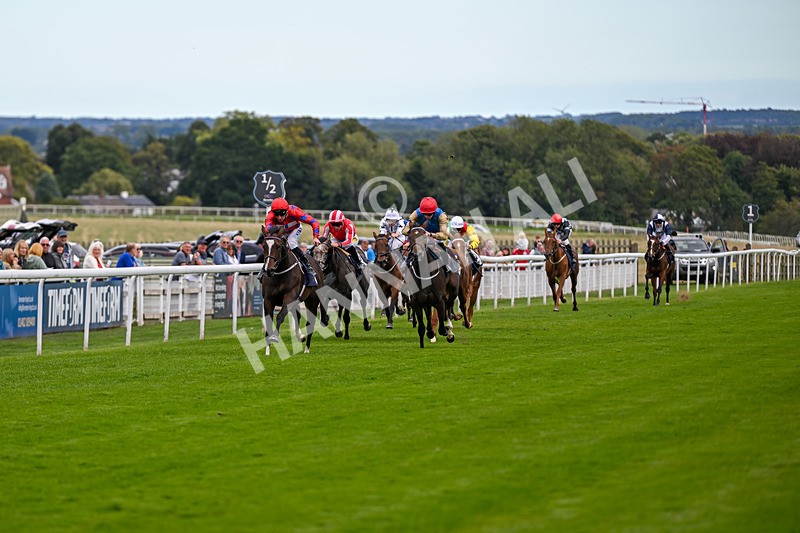 160926-Race 3-Myesme-0074 - Race 3 3.18pm Napoleons Casino And Restaurant Hull EBF Fillies' Novice Stakes
