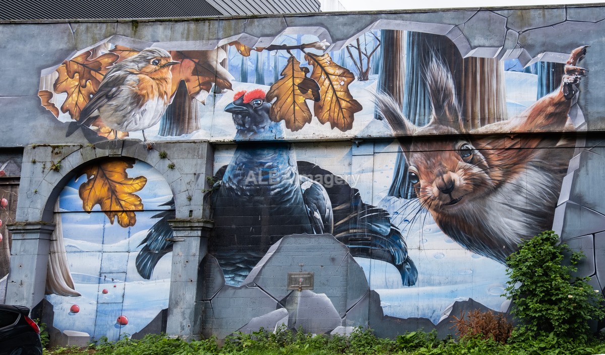 Glasgow Mural Trail - Mural Trail Images