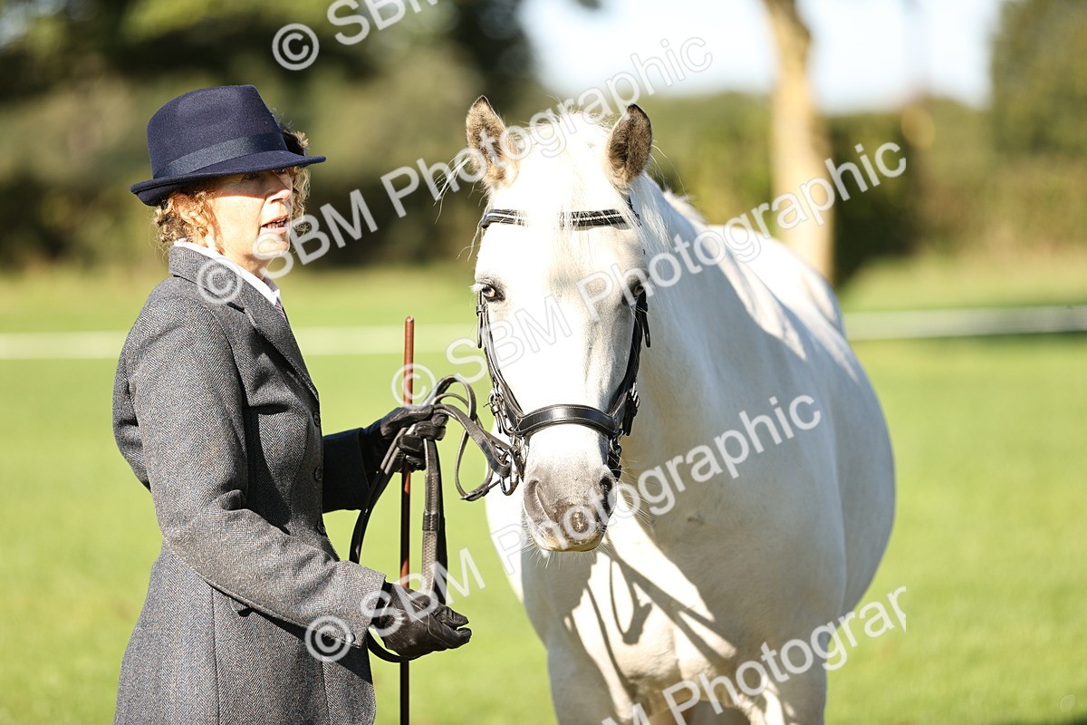 SBM_15883 - S1 - TSR in Hand Horse & Pony Showing