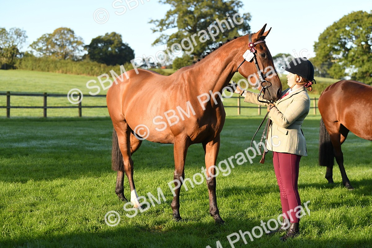 SBM_32770 - S15 - Condition & Turnout In Hand