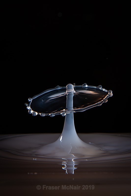 Water Droplet 8792 - Abstract Photography