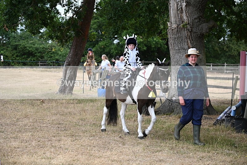 WJ6_8921 - Class 11 Fancy Dress