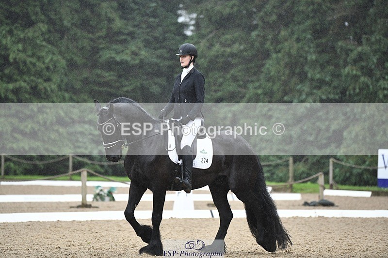 240720-094028-03566 - 274-Paige_Beattie-Orcaber_Dark_Secret