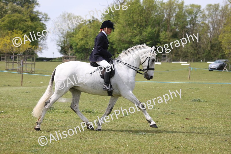 20260426-4304 - Class 34 - Best Riding Horse Over 14.2hh
