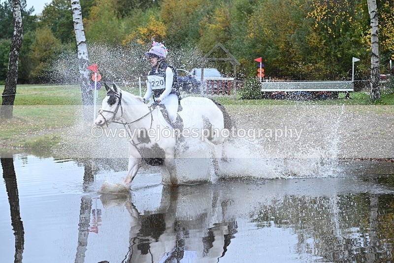 WJ7_2934 - 90cm Cam 2 Water Time 13:29 to 13:47