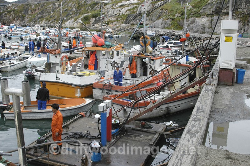Illuliisat fishing harbour - Greenland West Coast