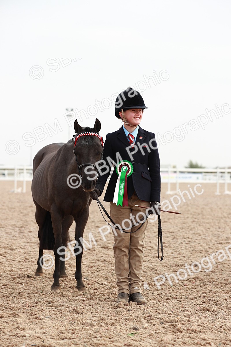 SBM_09575 - Class 201 Best Turned Out IH