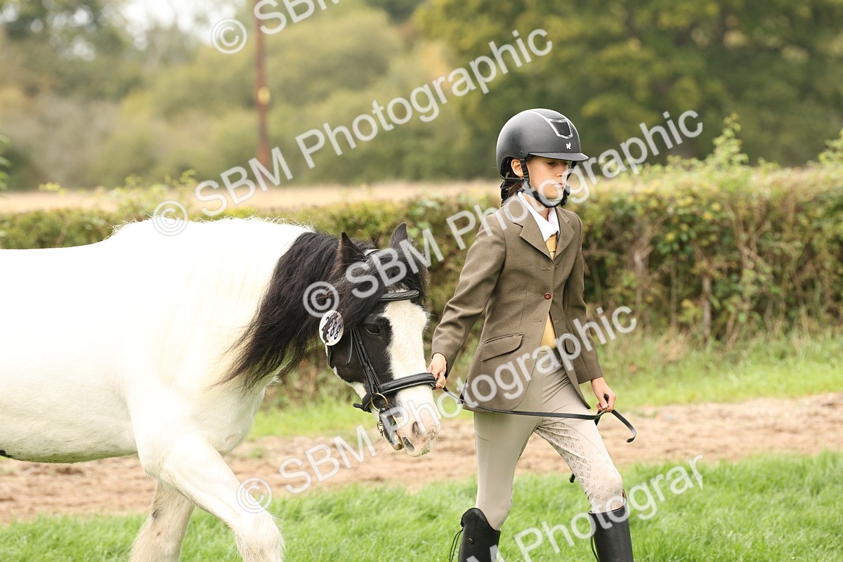 SBM_59221 - S57 - Traditional Cob In Hand