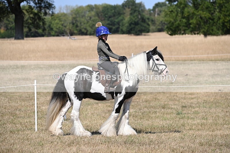 WJ6_9137 - Championship Classes 33-38