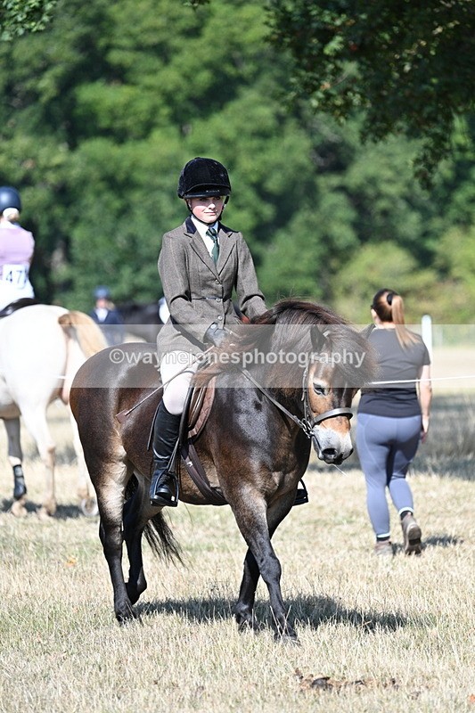 WJ7_3399 - Class 9 Mountain & Moorland Ridden