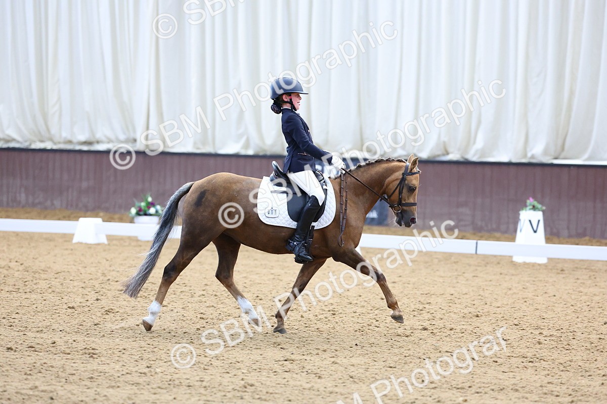 SBM_015107 - Class 15 - Novice FSM 8.30-9.26