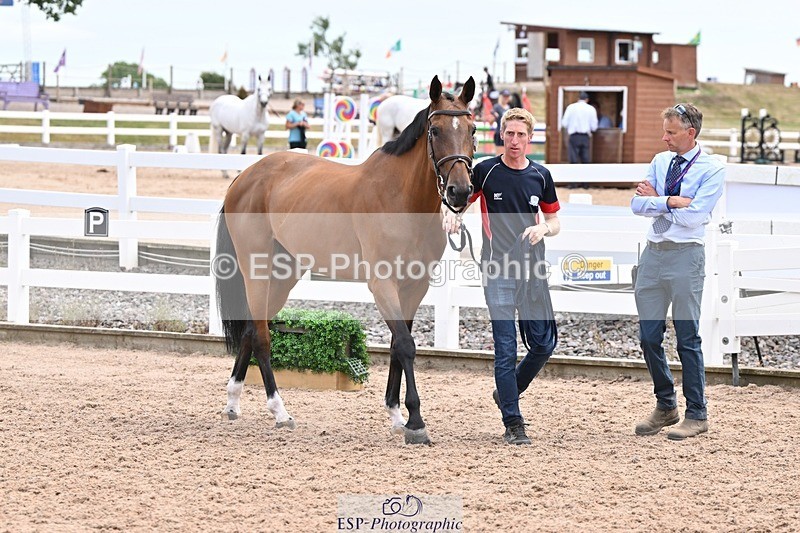 250716-142053-01034 - Trot Up 1.30 to 2.30