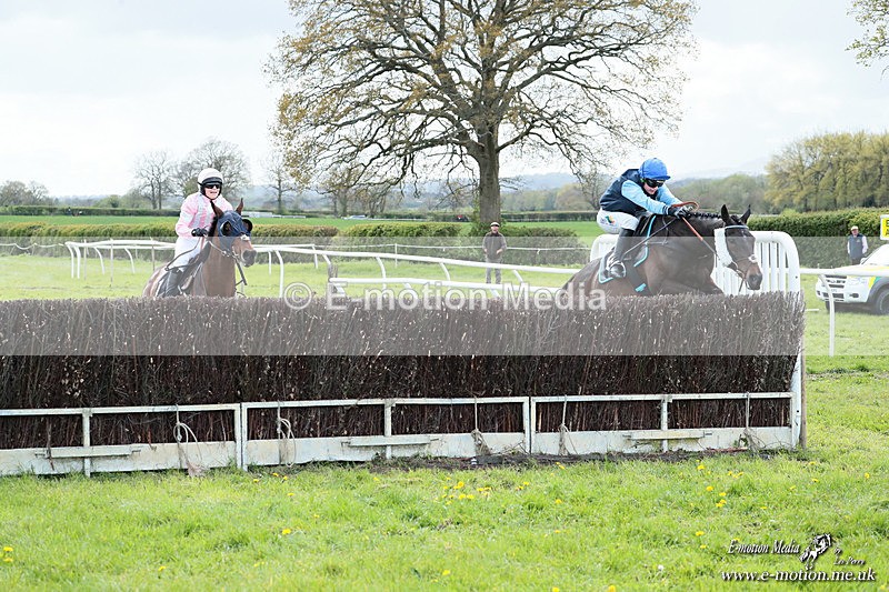 PtP 180426 836 - Worcestershire Hunt PtP Chaddesley Corbett 18/04/26