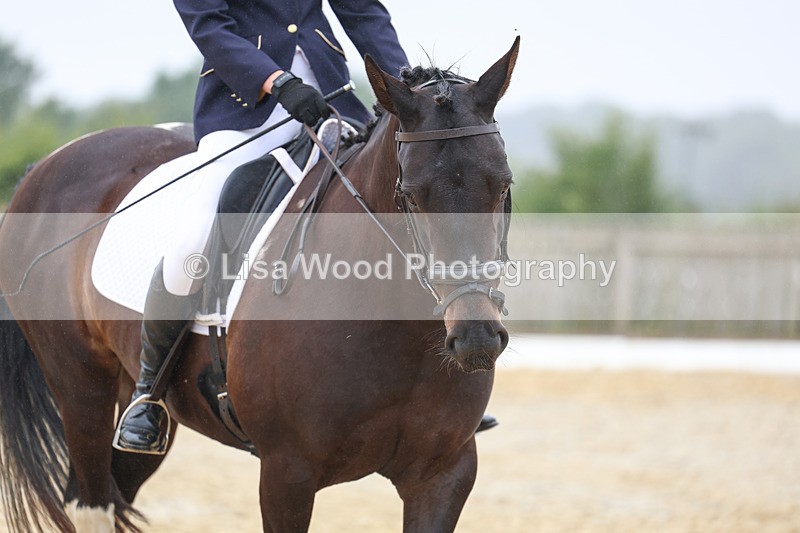 3E7A8554 - Class 2: Intro 3 2024 section B