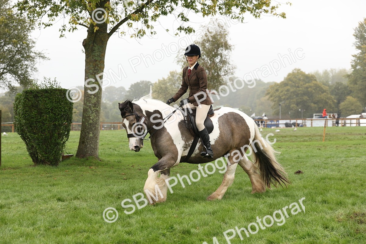 SBM_72743 - S70 - Traditional Cob Ridden