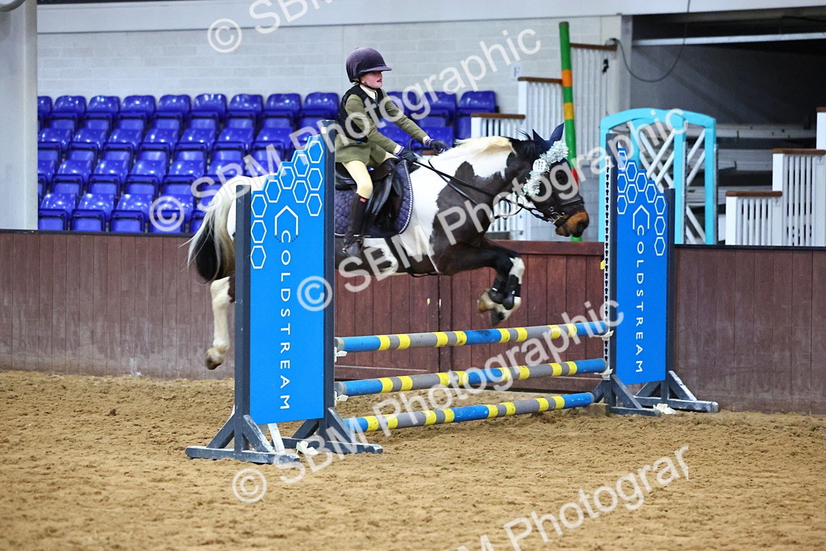 SBM_001475 - Class 3 - Christmas Tree Stakes - 60cm