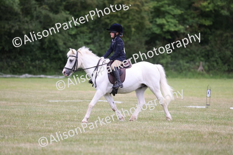 20250605-0611 - Class 1 - Intro 2