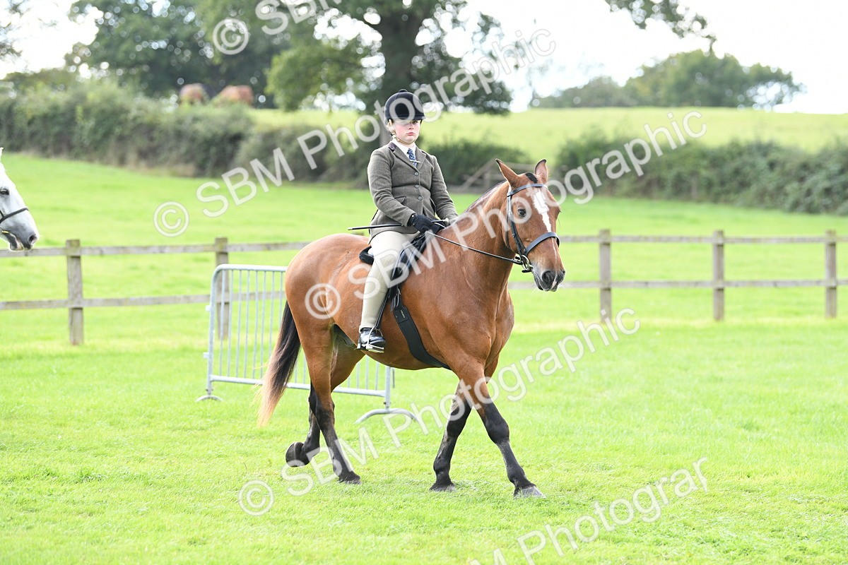 SBM_46691 - S12 - Family Horse & Pony