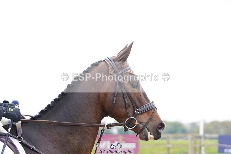 250419-161958-13782 - 855-Harry.Horton-STONEPARK.METRO