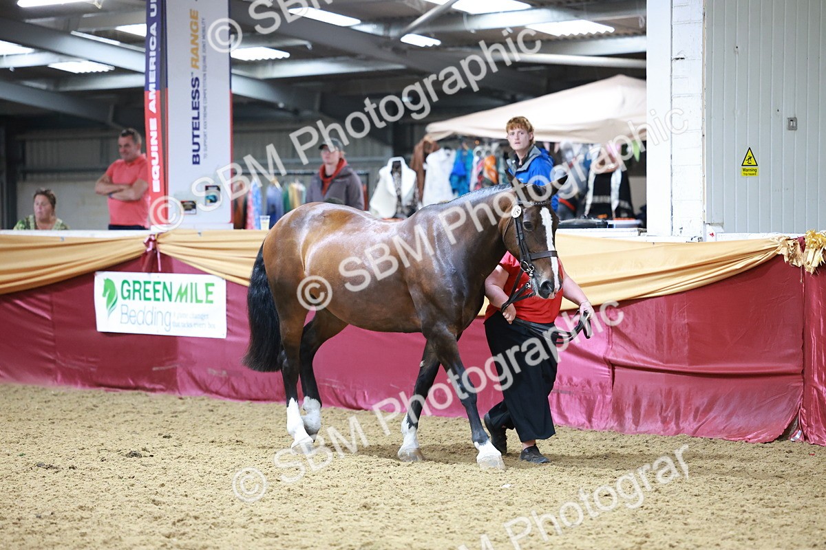 SBM_20088 - Class C - Novalty Champ