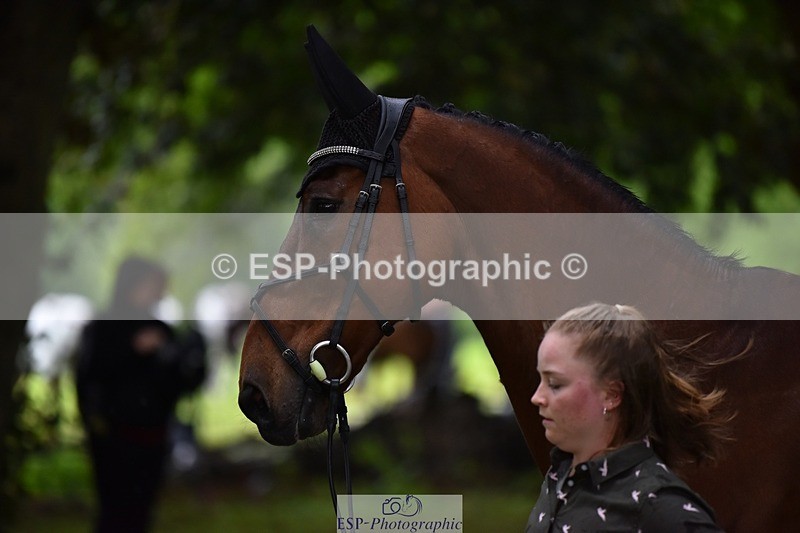 240522-162318-00883 - 204-ZADOK_D-Charlie_Piper