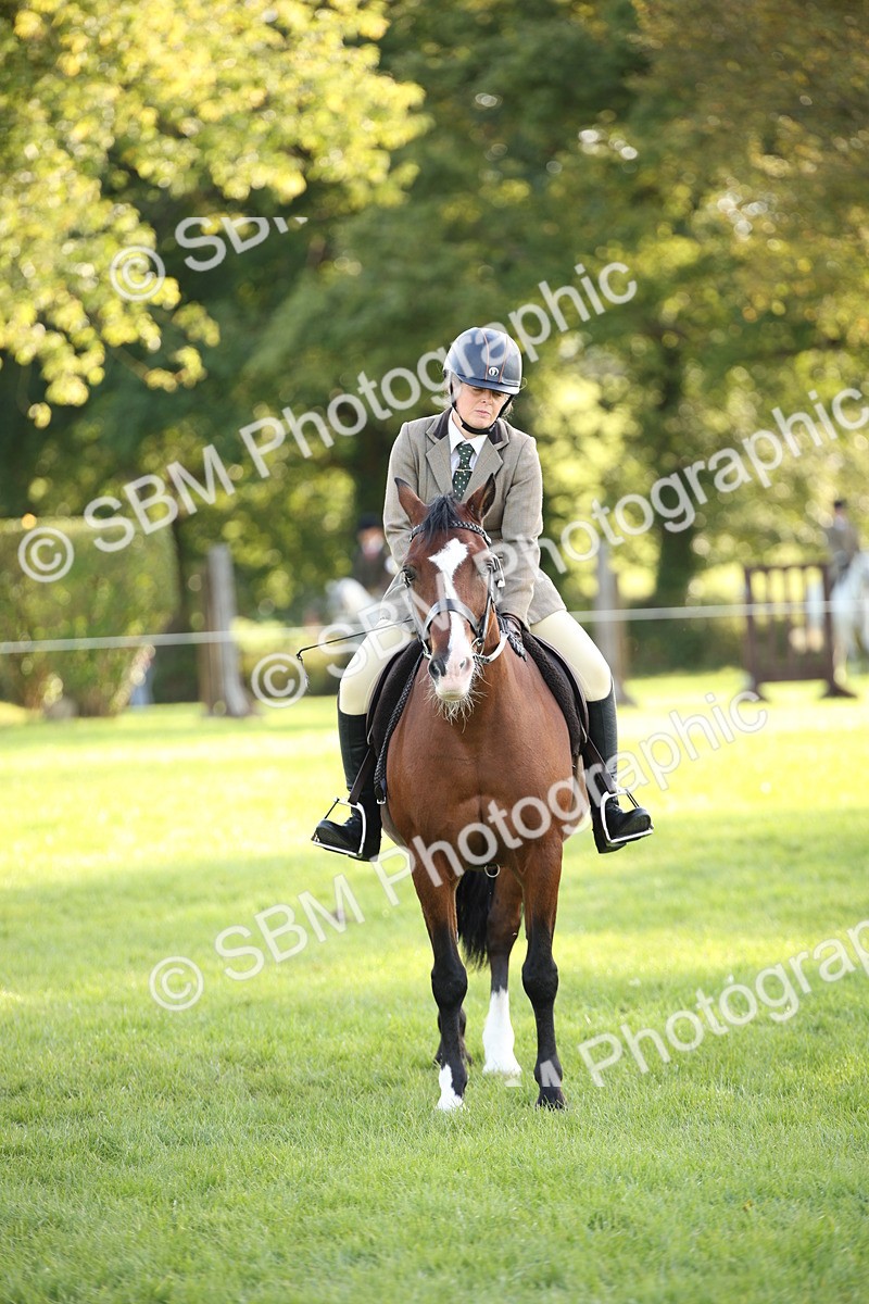 SBM_54319 - S27 - Mature Veteran - Ridden