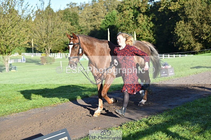 231022-092510-21773 - 639-TRAQ.TIME-Madeleine.Ellis-TrotUp+SJ