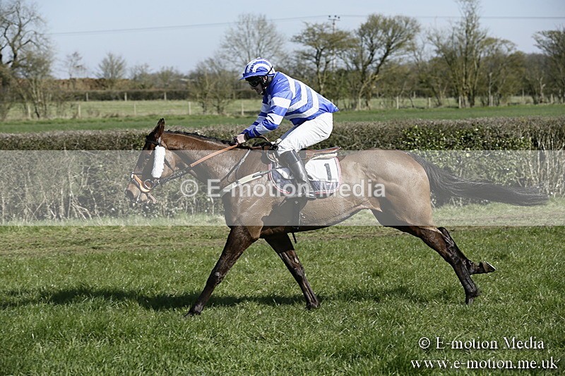 PtP 250317 136 - V.W.H. Hunt Point-to-Point Siddington 25/03/17