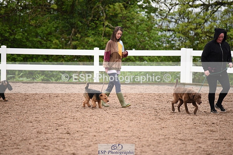 240518A-133728-01325 - Cls 9 Best in Show