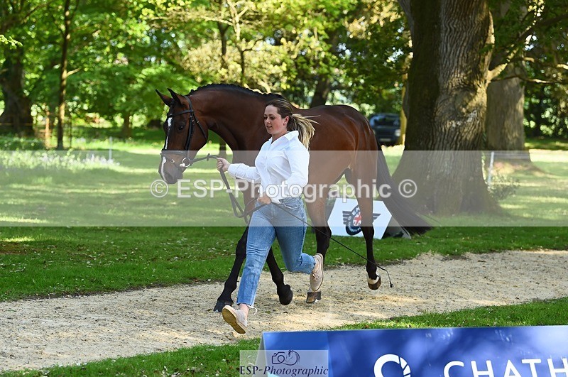 230524-162440-00854 - 101-INTERFIELDS_ABOUDDI-Saffron_Cresswell-WEDTrotUp+DR