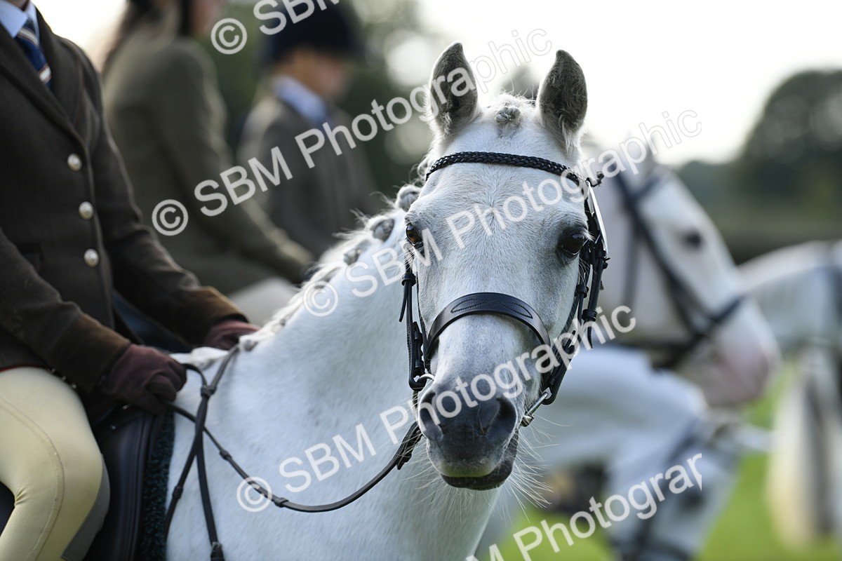 SBM_51861 - S21 - Novice & Newcomers 1st Ridden Pony