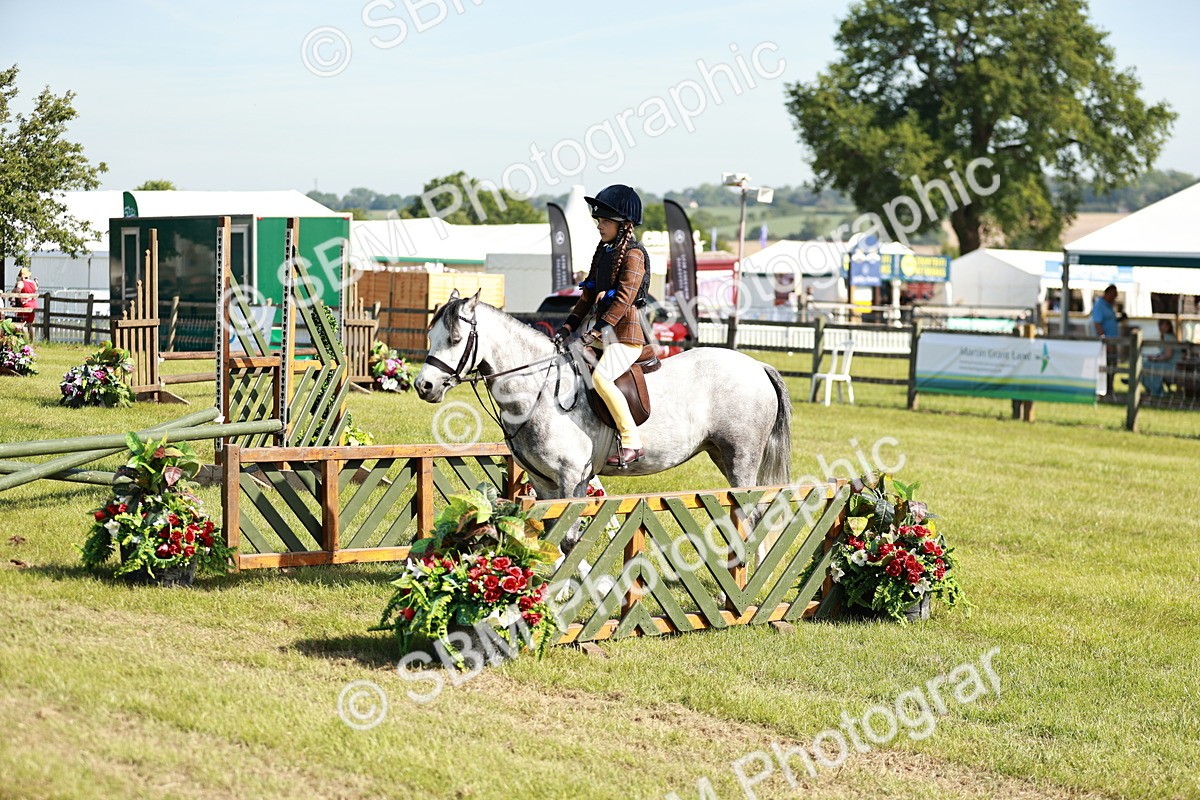 SBM_12652 - Class 106-107 - BSPS LIHS Working Sports Pony