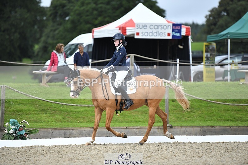 230812-123843-04172 - Cls 6 Novice Silver 12.10 to End