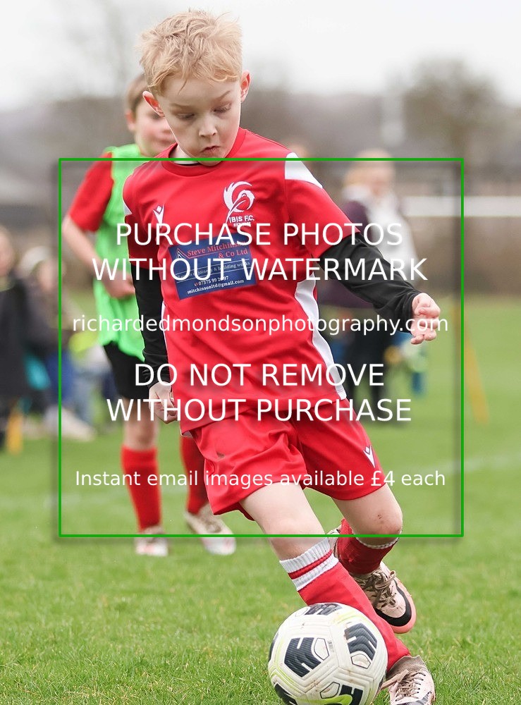 533A0872 - Ibis Under 7's (28/2/26)