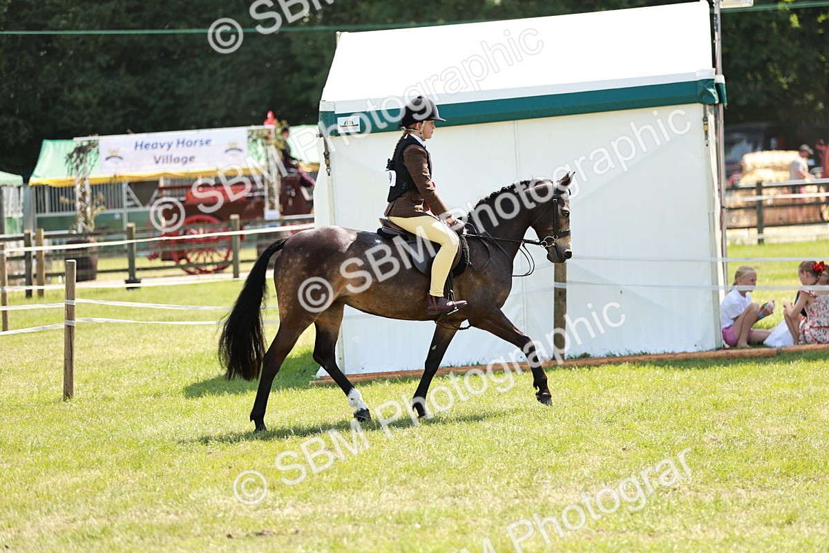SBM_15774 - Class 108-109 - BSPS LIHS Open Gradle & Nursery Stakes