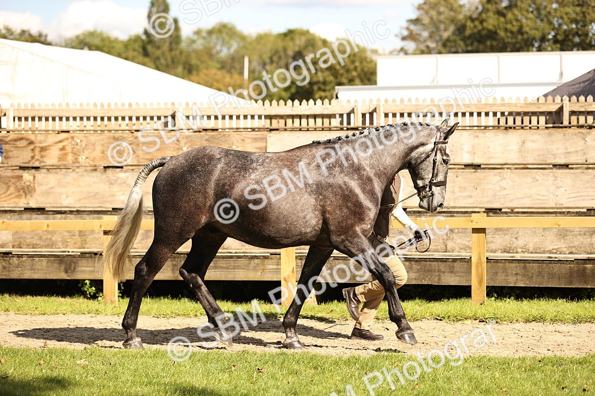 SBM_26189 - S5 - Novice & Newcomers In Hand