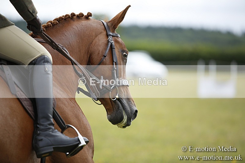 BVR160717-285 - Ring 1 BVRC Show 16/07/17