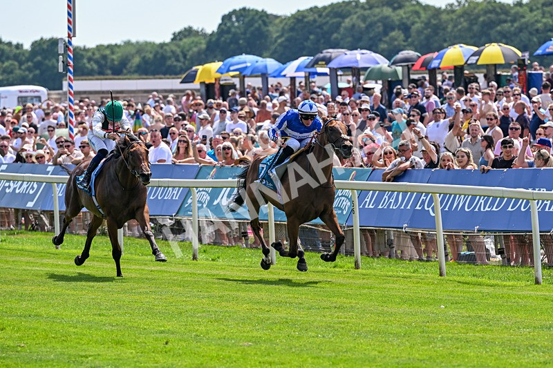 110726-Race 2-The Lost King-6708 - Race 2 14.39pm John Smith's Racing Handicap