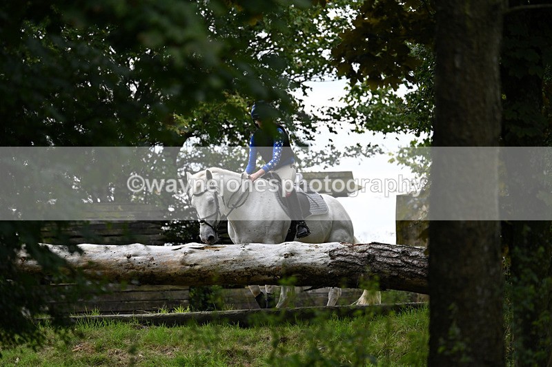 WJ7_8271 - Time 14:11 to 14:30