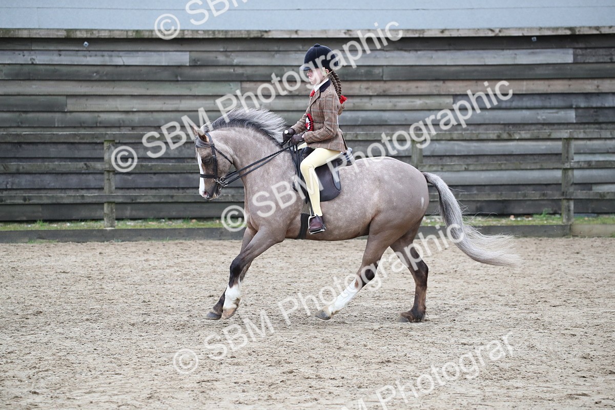 SBM_007094 - Class 10-13 - RIHS Small Large Breeds