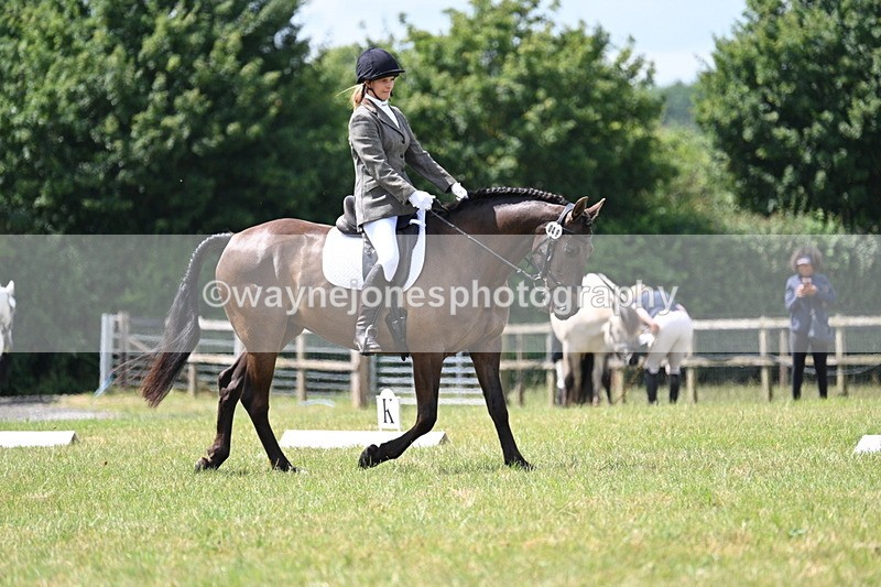 WJ7_4817 - Time 11:22 to 11:51