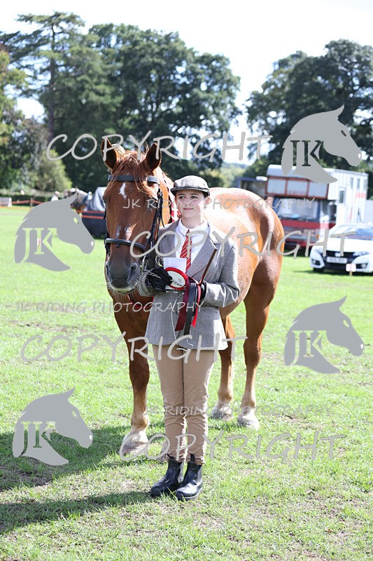 APP_3460 - Class 6 Young Handlers